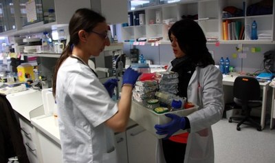 La Intersindical-CSC reclama els drets del personal investigador amb responsabilitats de cura durant la pandèmia; la majoria, dones